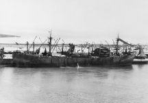 Fremantle Fremantle