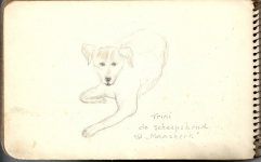 trini