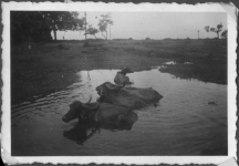 goa-august-1939-2