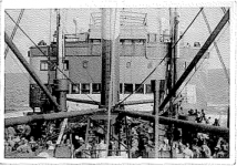 Abbekerk_Crane_1